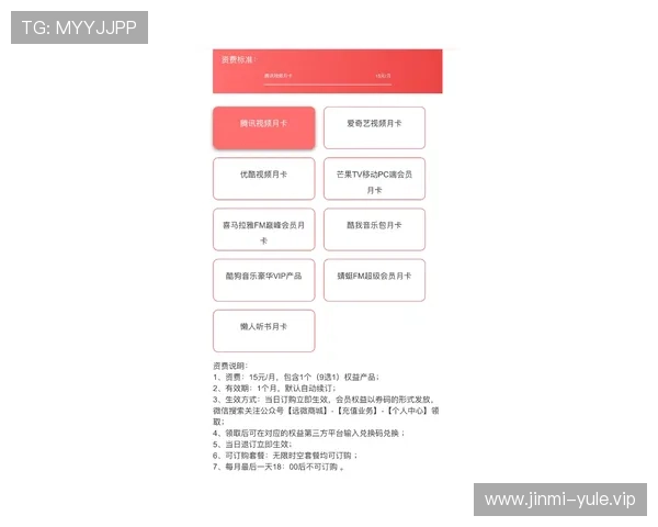 亚星娱乐电游游戏的盈利模式与玩家权益保障措施全面解析